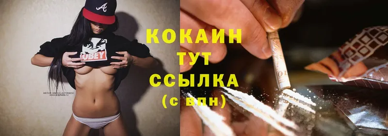 дарнет шоп  Ульяновск  Cocaine 99% 