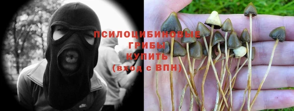 Альфа ПВП Михайлов