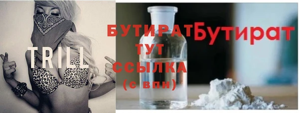 индика Апатиты