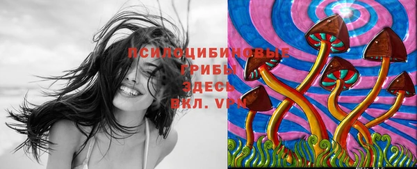 дмт Надым