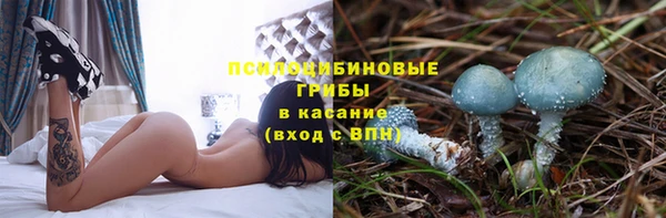 бошки Михайловка