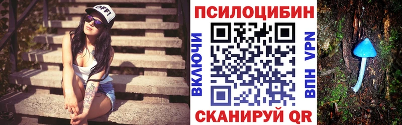 где можно купить   blacksprut   Псилоцибиновые грибы Cubensis  Ульяновск 