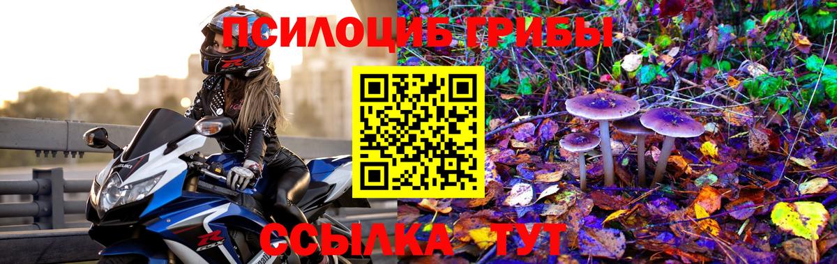 Псилоцибиновые грибы ЛСД Ульяновск