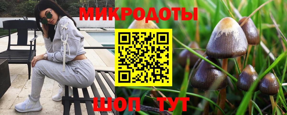 Ульяновск  Галлюциногенные грибы Magic Shrooms  дарнет шоп  Вход с VPN 